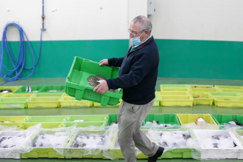 Managerii estimeaza cresteri de preturi la alimente si in constructii, Foto: Profimedia Images