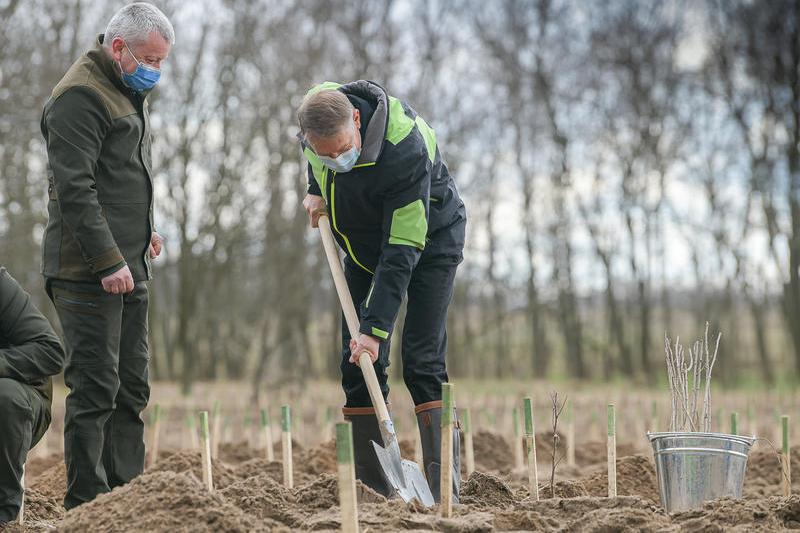 Klaus Iohannis planteaza un copac în cadrul campaniei de reimpadurire, Foto: Presidency.ro