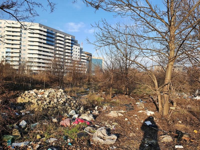 Spatiu verde Răzoare - 8, Foto: Hotnews