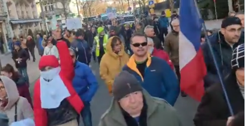 protest fata de pasapoartele Covid Franta, Foto: Captura video