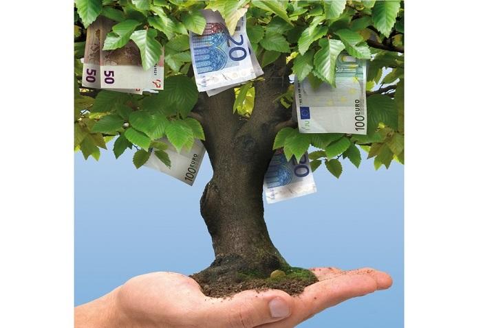 fonduri europene pomi fructiferi, Foto: Dreamstime.com
