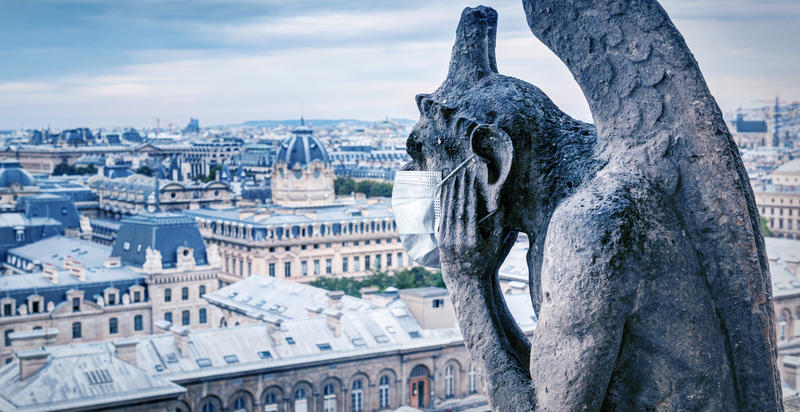 Gargui cu masca de protectie pe Notre Dame, Foto: DreamsTime