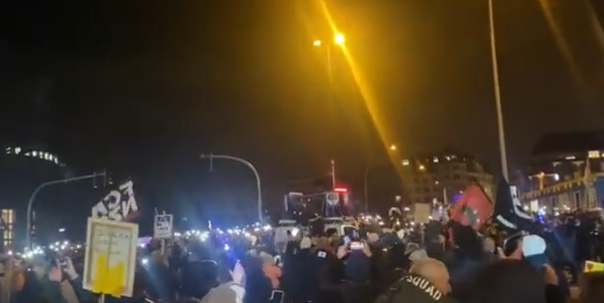 proteste anti-vaccin la Hamburg, Foto: Captura video