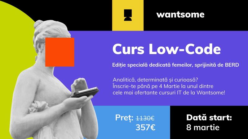 Curs Low Code, Foto: Wantsome