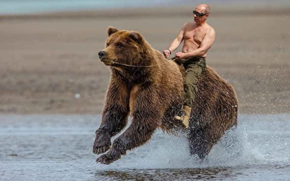 Vladimir Putin calare pe un urs, Foto: Amazon