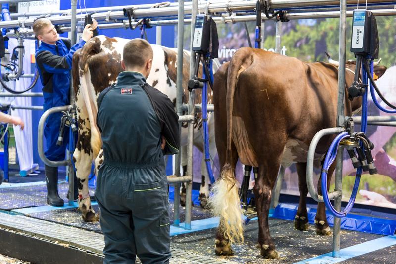 Laptele s-a scumpit. Carnea s-a scumpit. Cum explica specialistii, Foto: Profimedia Images