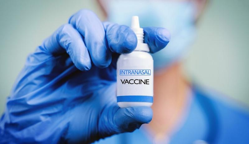 Vaccin nazal, Foto: News.yale.edu