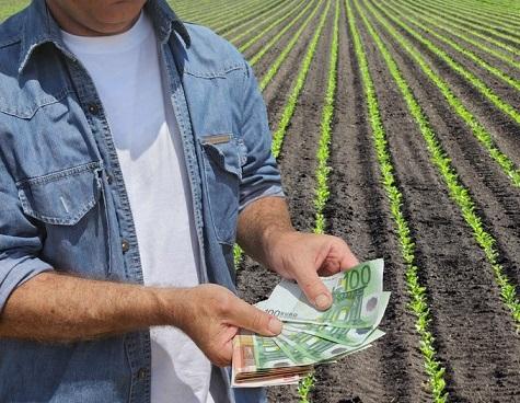 fermier, Foto: Dreamstime.com