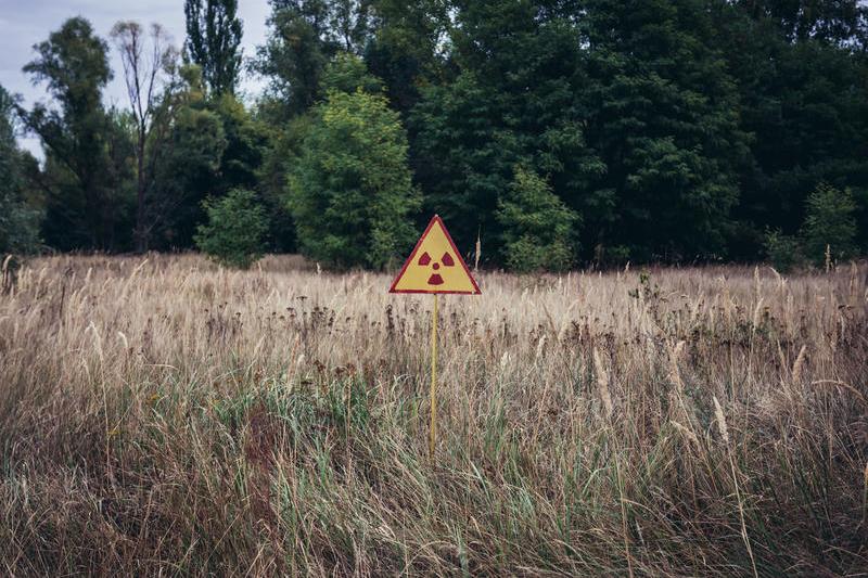 Avertisment privind radiațiile din Pădurea Roșie de lângă Cernobîl, Foto: Dreamstime