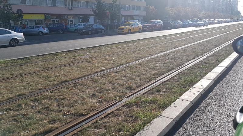 Gazonul de pe linia de tramvai de pe Șoseaua Pantelimon, Foto: Hotnews