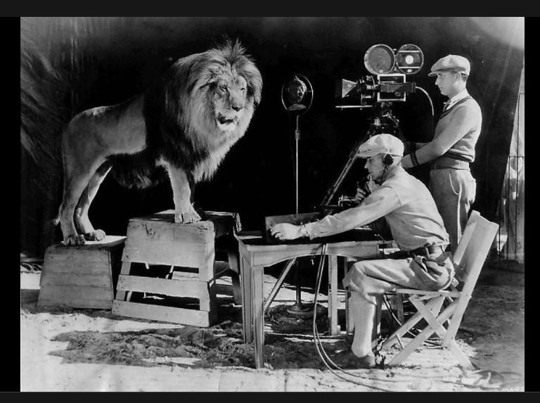 Leo, al doilea leu de la MGM, Foto: Wikipedia