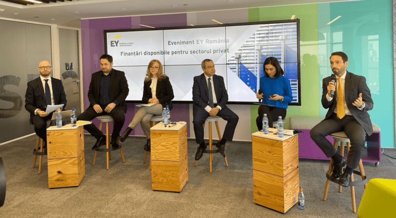 Webinarul "Finanțări disponibile pentru sectorul privat", Foto: EY România