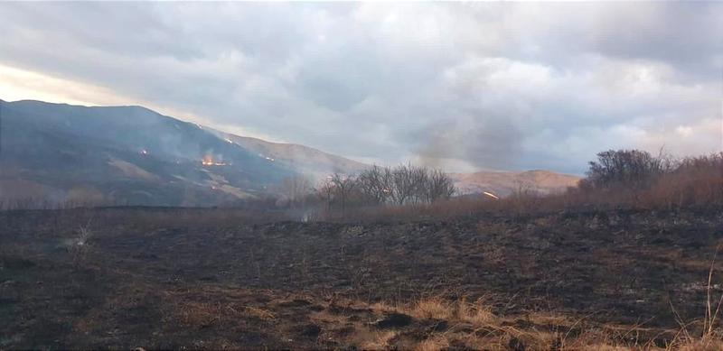 Incendiu de vegetaţie, Foto: Facebook/ ISU Buzau