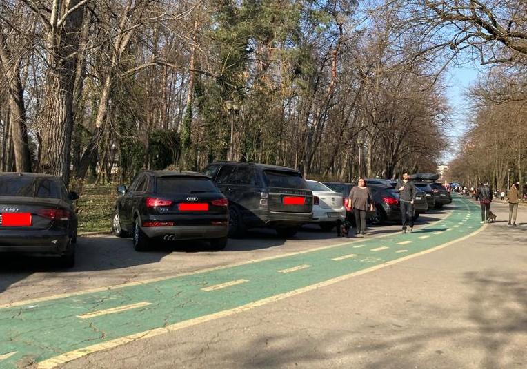 Masini in Parcul Herastrau 3, Foto: Hotnews