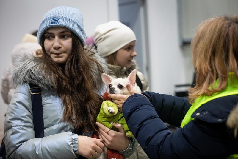 Refugiati cu animale de companie, Foto: Bogdan Dinca