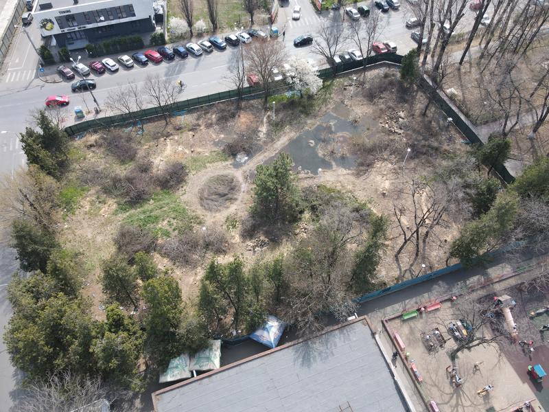 Defrișare Parcul Codrii Neamțului, Foto: Eugen Matei