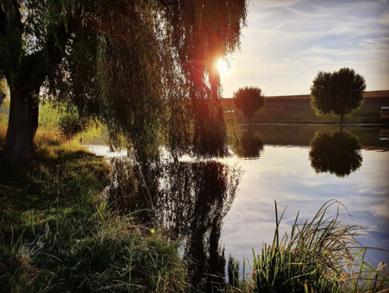 Jurnalul cafelei de dimineață, Foto: Arhiva personala