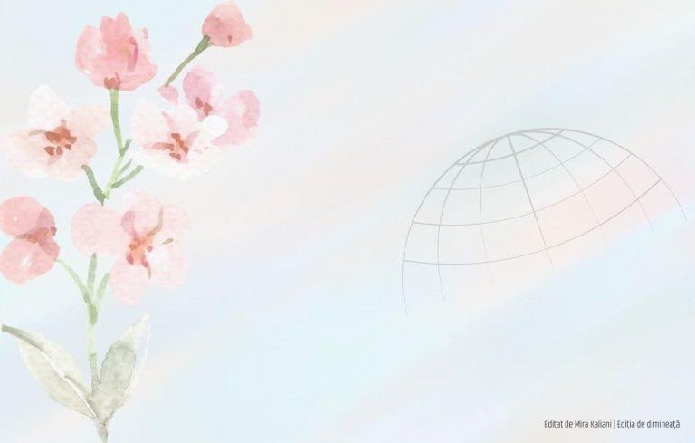 Pacificatorii. „Obstacolele în calea păcii se află în mințile și inimile oamenilor”, Foto: editiadedimineata.ro