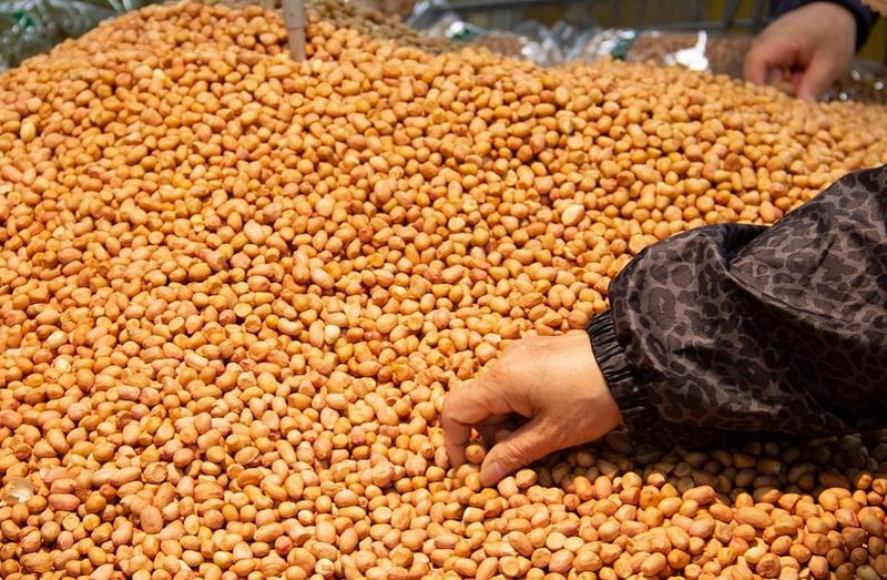 Rezerve pentru Campionatul Mondial de fotbal, Foto: Wikipedia