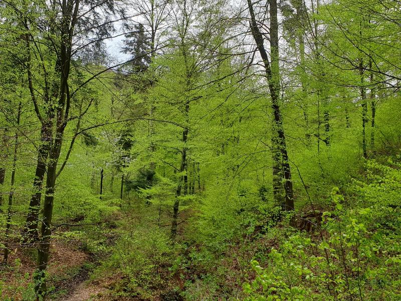 Peisaj din ziua de Paste, in 2021, Foto: Hotnews