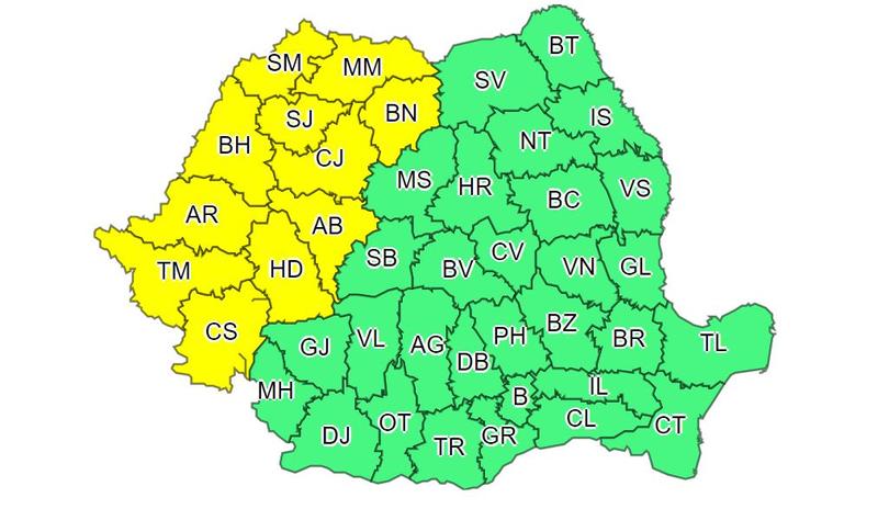 Cod galben, Foto: ANM