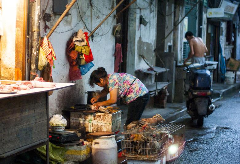 În China există mai multe variante de gripă aviară, uneori sunt infectați și oamenii, Foto: DreamsTime