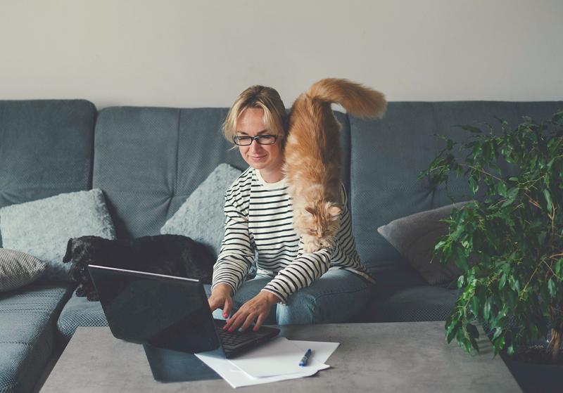 Apă pentru acasă pentru angajați, Foto: La Fantana