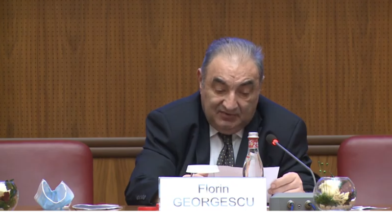 Florin Georgescu, prim-viceguvernator BNR, Foto: YouTube