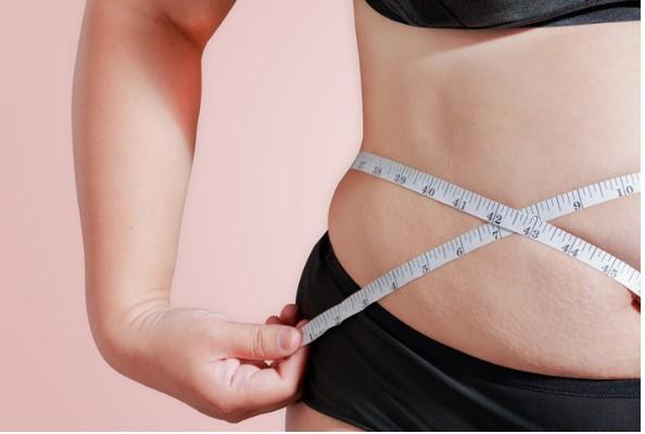 Grasimea abdominala, Foto: health.harvard.edu