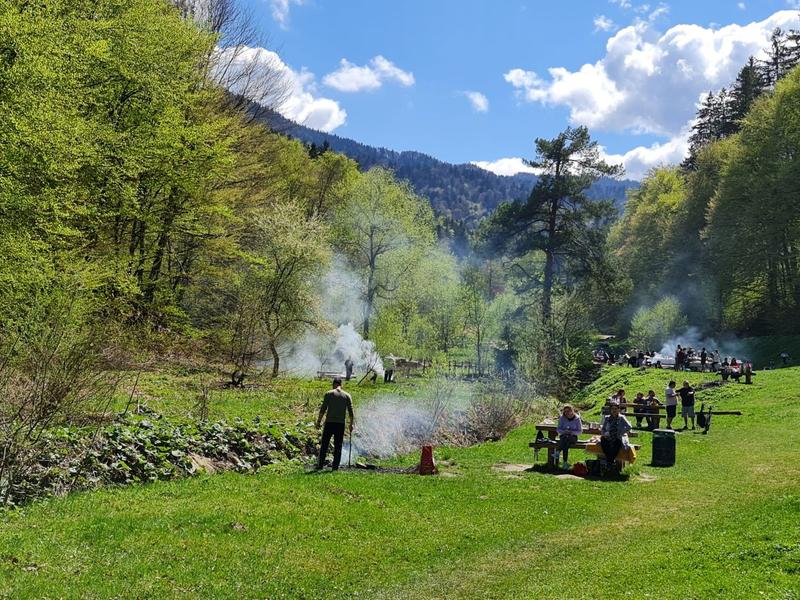 La gratar, Foto: Hotnews