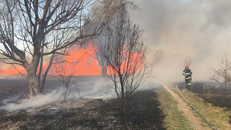 Incendiu Delta Văcărești 5 aprilie 2022 1, Foto: ISU Bucuresti-Ilfov