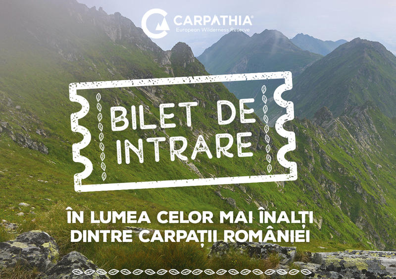 Galerie Virtuala Conservation Carpathia, Foto: Conservation Carpathia