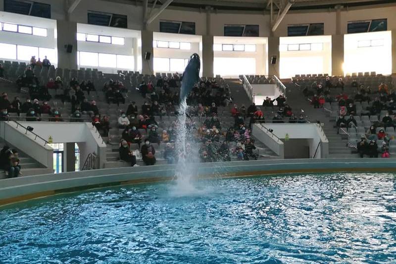 Delfinariul din Constanța, Foto: Facebook/ Delfinariu Constanta