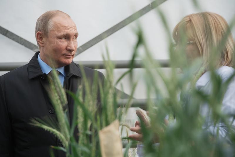 Vladimir Putin, Foto: Sergey Guneev / Sputnik / Profimedia