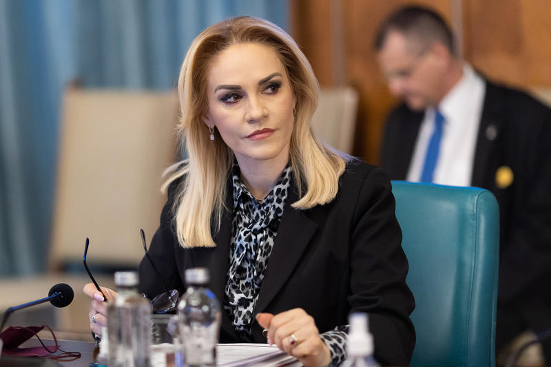 Gabriela Firea , Foto: Guvernul Romaniei