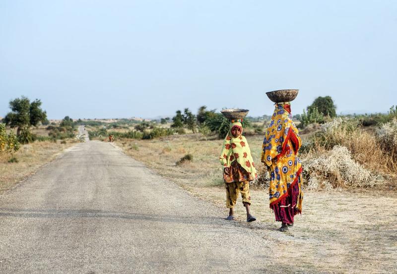 Peisaj rural din provincia pakistaneza Sindh, Foto: T H Sulemani, Dreamstime.com