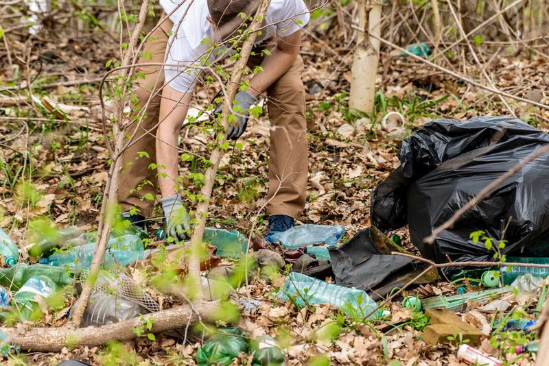 Peste 500 de voluntari s-au alăturat campaniei O Românie Curată Începe de Acasă, Foto: Procter & Gamble și AFT