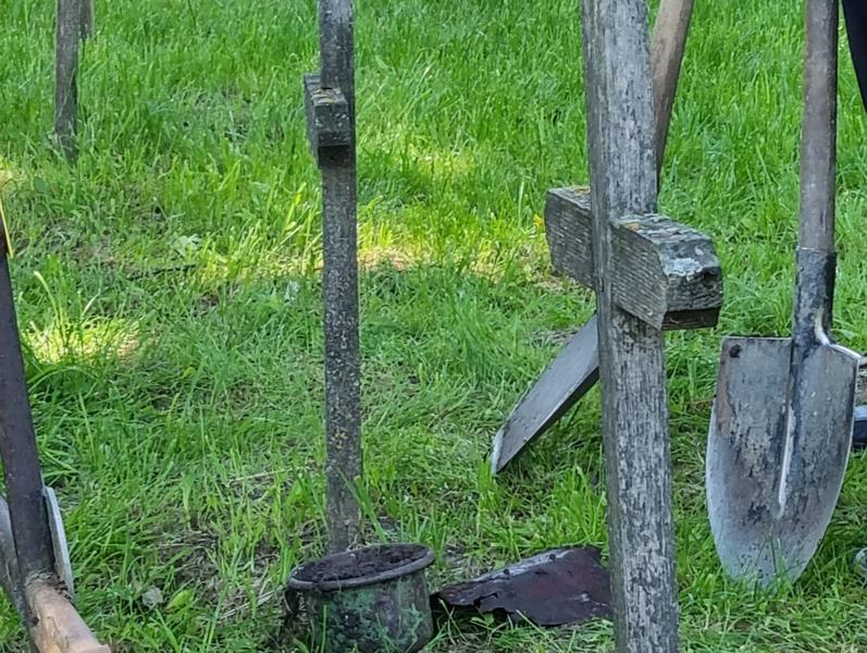 Cimitirul din Pastraveni unde au fost ingropate victimele, Foto: IICCMER