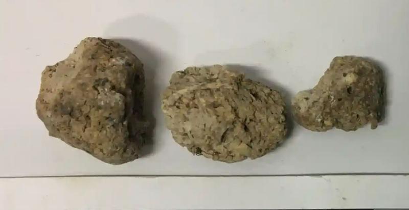 Fecale fosilizate, Foto: Lisa-Marie Shillito