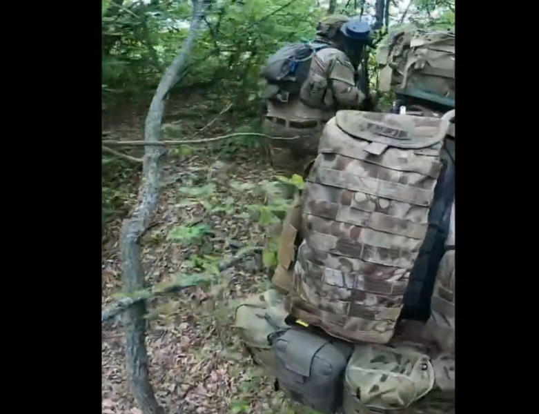 Voluntarii straini au filmat ambuscada, Foto: Captura video