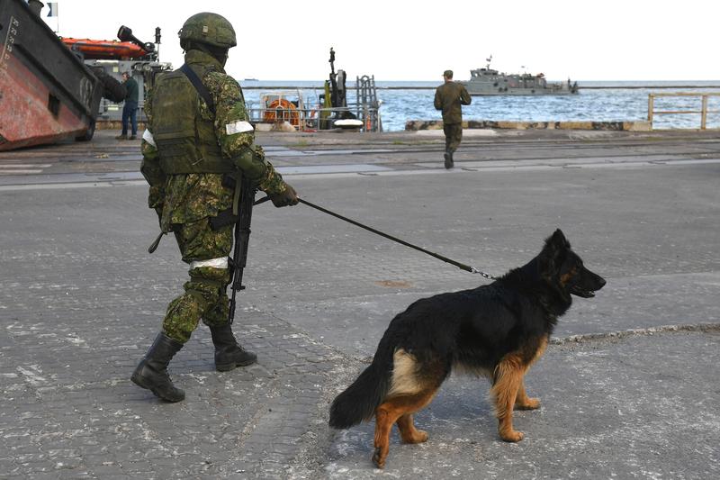 Un militar rus pe teritoriul orașului portuar Mariupol, Foto: Konstantin Mihalchevskiy / Sputnik / Profimedia