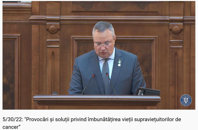 Nicolae Ciuca, in Parlament, Foto: Captura Guvern
