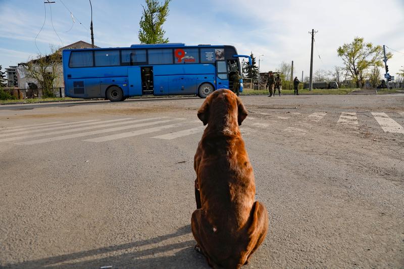 Evacuare din Mariupol, Foto: Peter Kovalev / TASS / Profimedia