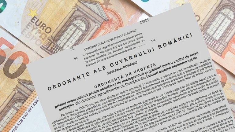 Ordonanta ajutoare stat, Foto: Dreamstime.com