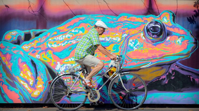 Biciclisti in Bucuresti, Foto: Vadim Ghirda / AP - The Associated Press / Profimedia
