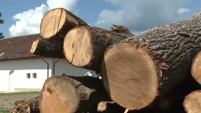 Camion cu lemne pentru școală, descărcat la pensiunea directorului, Foto: Captură video