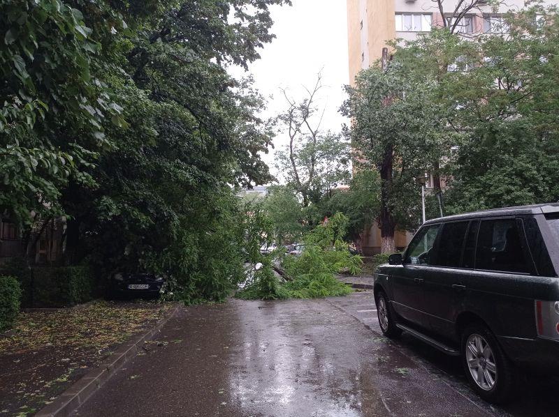 Furtuna in Bucuresti, Foto: Hotnews