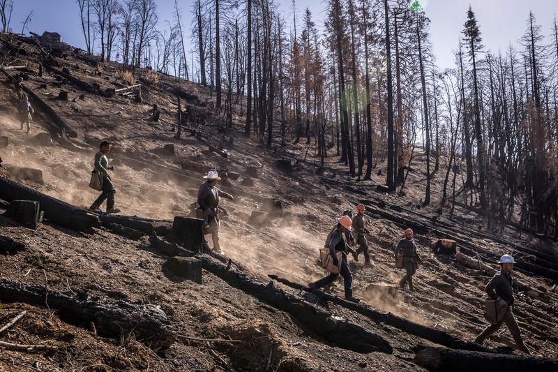 Incendii forestiere in SUA, Foto: Carlos Avila Gonzalez / Associated Press / Profimedia Images