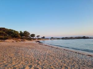 Karidi, Foto: Hotnews