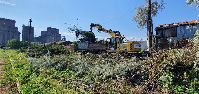 Lucrari feroviare in portul Constanta, Foto: CFR Infrastructura